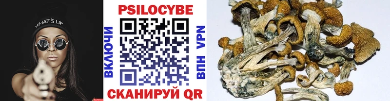 Псилоцибиновые грибы GOLDEN TEACHER  где купить наркотик  Циолковский 