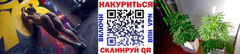 Шишки марихуана SATIVA & INDICA  цены   Циолковский 